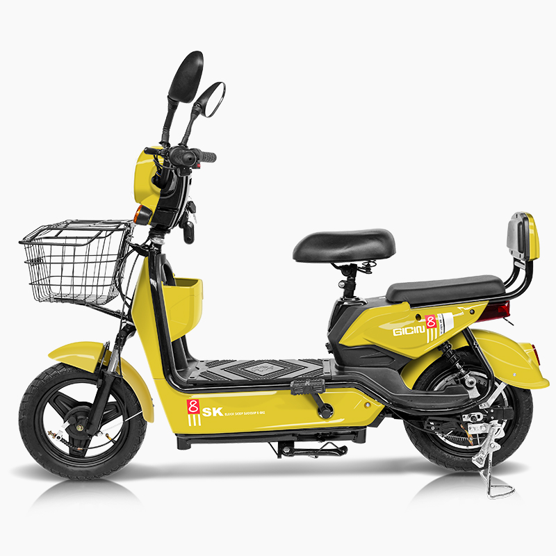 2025 Kelansini 48V12A Rear Hub - Dual Motor Electric Motorcycle Frame review and price