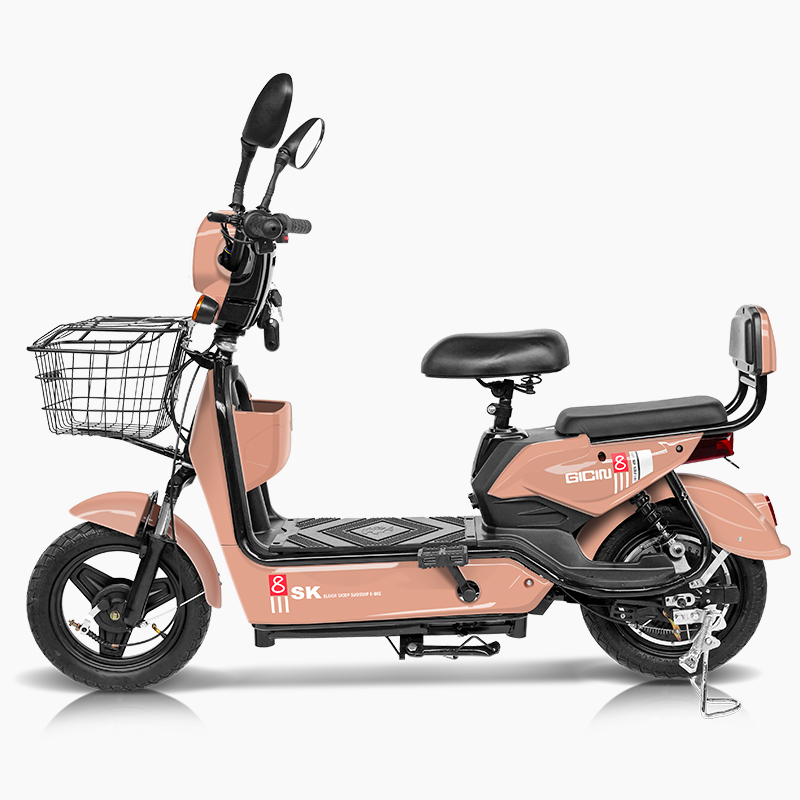 2025 Kelansini 48V12A Rear Hub - Dual Motor Electric Motorcycle Frame review and price