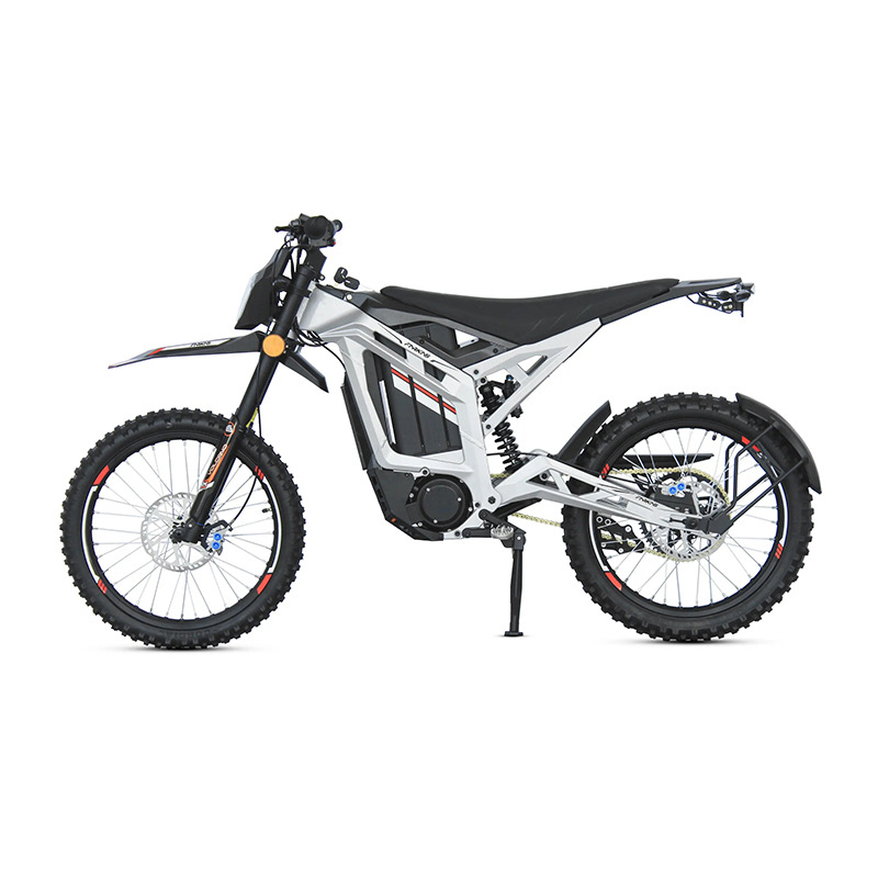 *forMZ-24 3000W Central Motor  - Dual Motor Electric Motorcycle Frame review and price