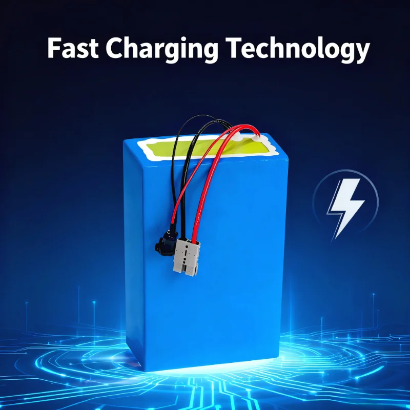 BMS 72V Lithium-Ion Battery Pa - 72V 60Ah Lifepo4 Battery Pack review and price