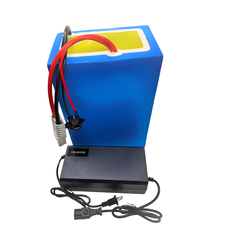 72V 100Ah Li ion With ChargerB - 72V 60Ah Lifepo4 Battery Pack review and price